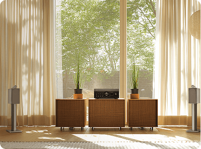 Network & Wireless Audio